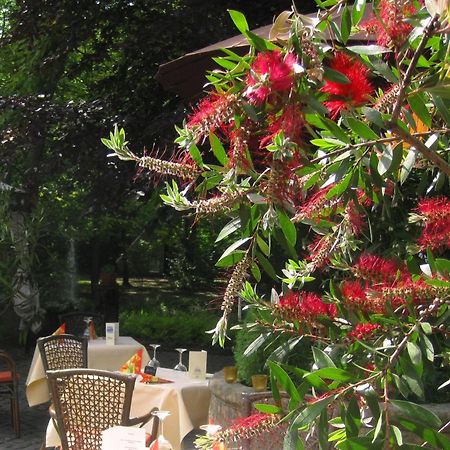 Landidyll Wilminks Parkhotel Neuenkirchen  Exteriör bild