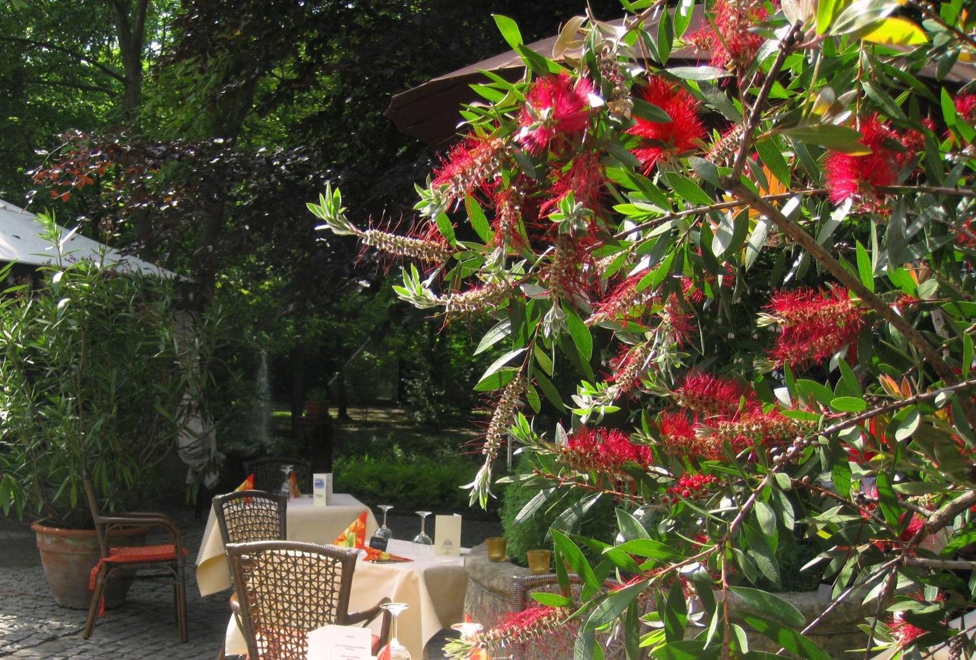 Landidyll Wilminks Parkhotel Neuenkirchen  Exteriör bild